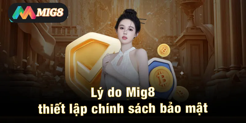 Lý do Mig8 thiết lập chính sách bảo mật